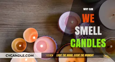 The Science Behind Why We Can Smell Candles Explained