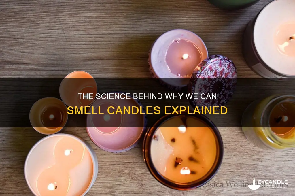why can we smell candles