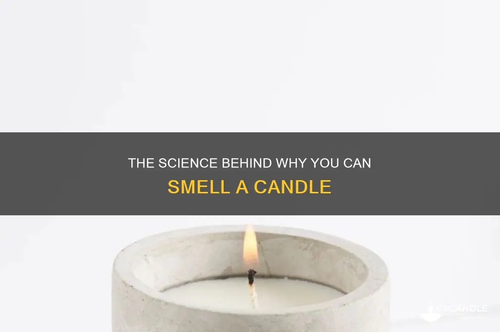 why can you smell a candle science