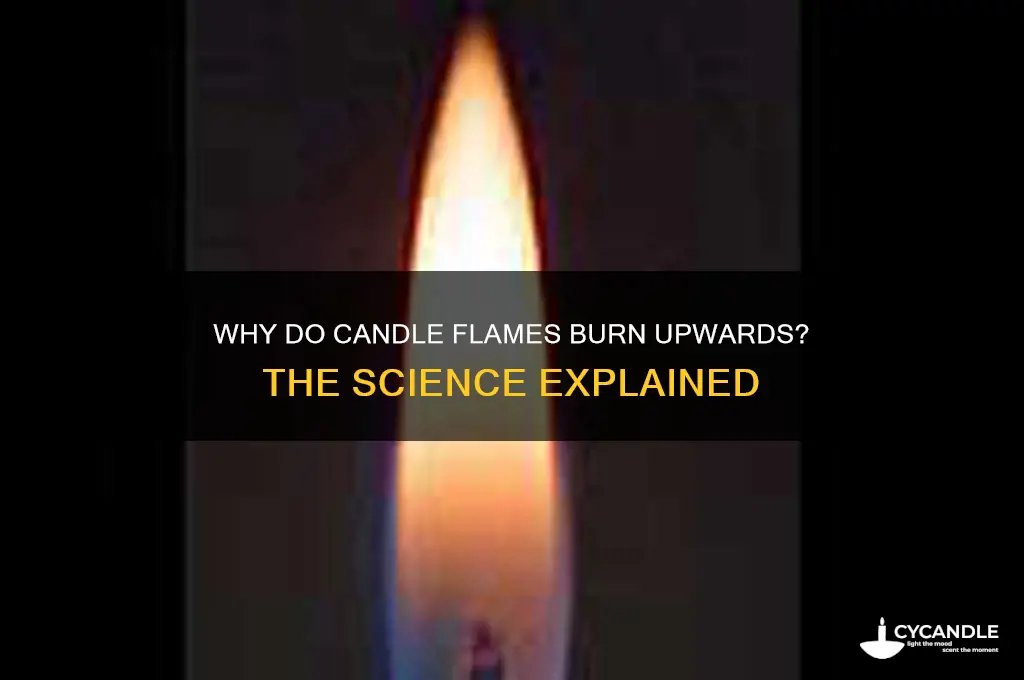 why candle flame burn upwards