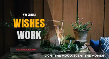 The Science and Magic Behind Why Candle Wishes Work