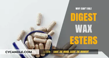 Why Bile Fails to Digest Wax Esters: Unraveling the Mystery