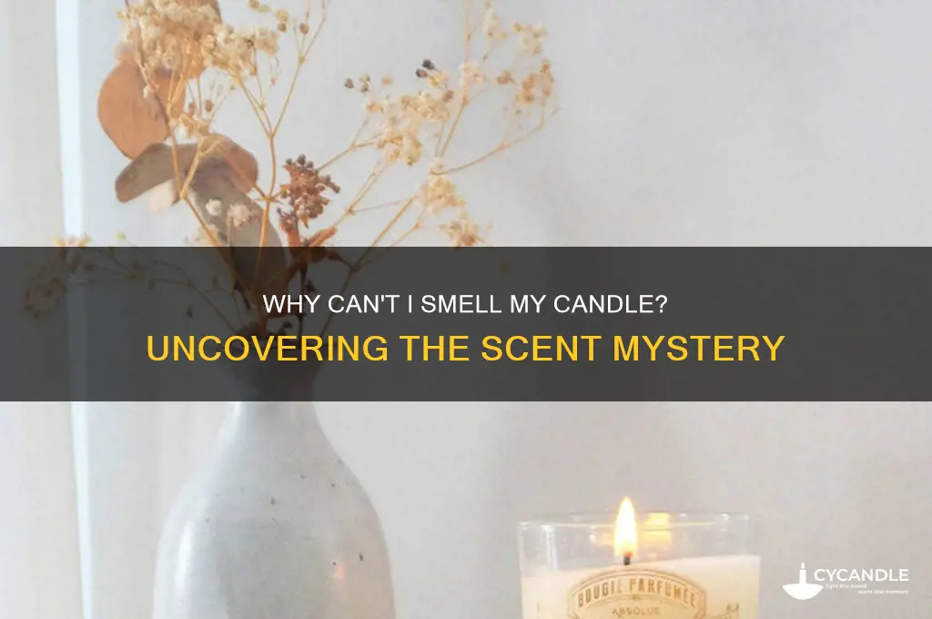 why can