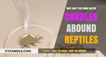 Avoid Scented Candles: Protecting Reptiles from Harmful Aromatic Toxins