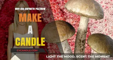 Why Gwyneth Paltrow's 'This Smells Like My Vagina' Candle Sparked Curiosity