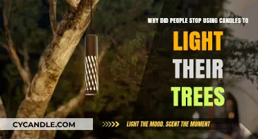 From Candles to Lights: The Evolution of Tree Lighting Traditions