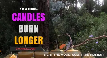 Why Beeswax Candles Outlast Others: The Science Behind Longer Burn Times