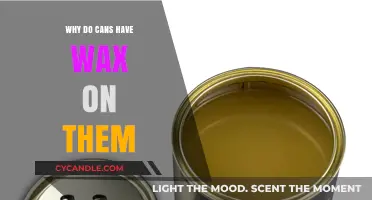 Why Cans Have Wax: Uncovering the Surprising Protective Coating