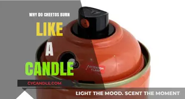 Flammable Snacks: Why Cheetos Burn Like a Candle Explained