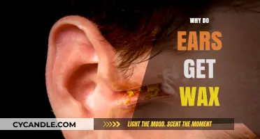 The Surprising Reasons Behind Ear Wax Buildup: A Complete Guide