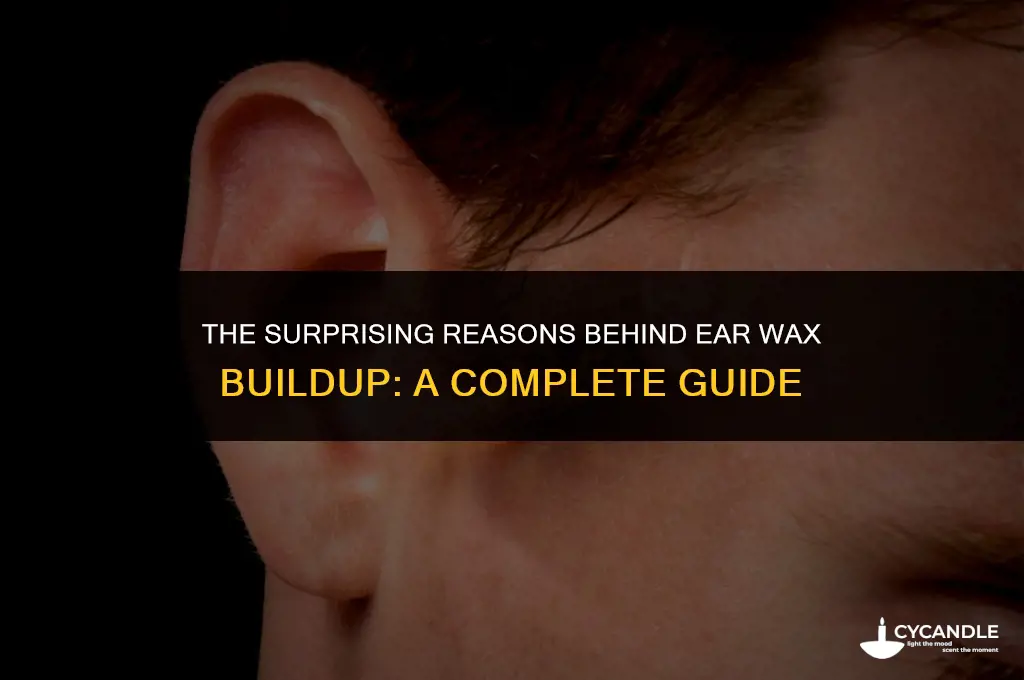 why do ears get wax