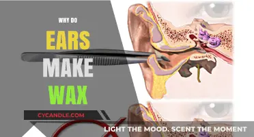 The Natural Defense: Understanding Ear Wax Production and Its Benefits
