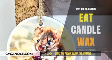 Why Hamsters Eat Candle Wax: Uncovering the Surprising Truth