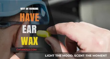 The Secret Life of Earwax: Nature's Protective Barrier