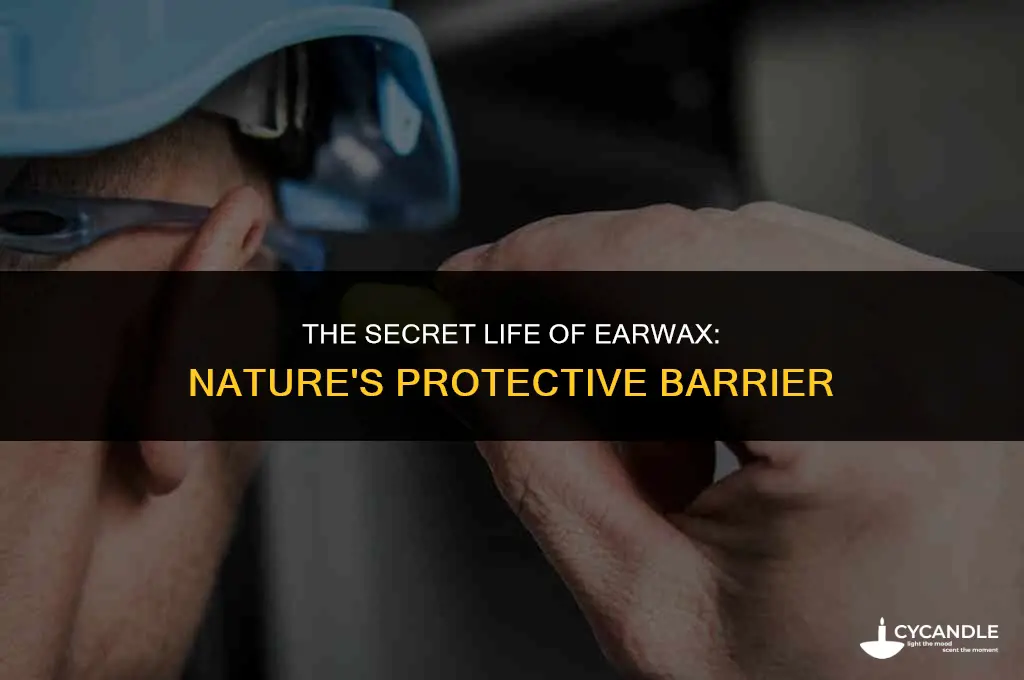 why do humans have ear wax