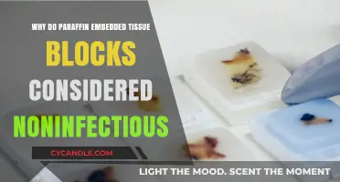 Paraffin-Embedded Tissue Blocks: Understanding Their Noninfectious Nature