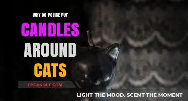 Unusual Police Practice: Why Officers Surround Cats with Candles