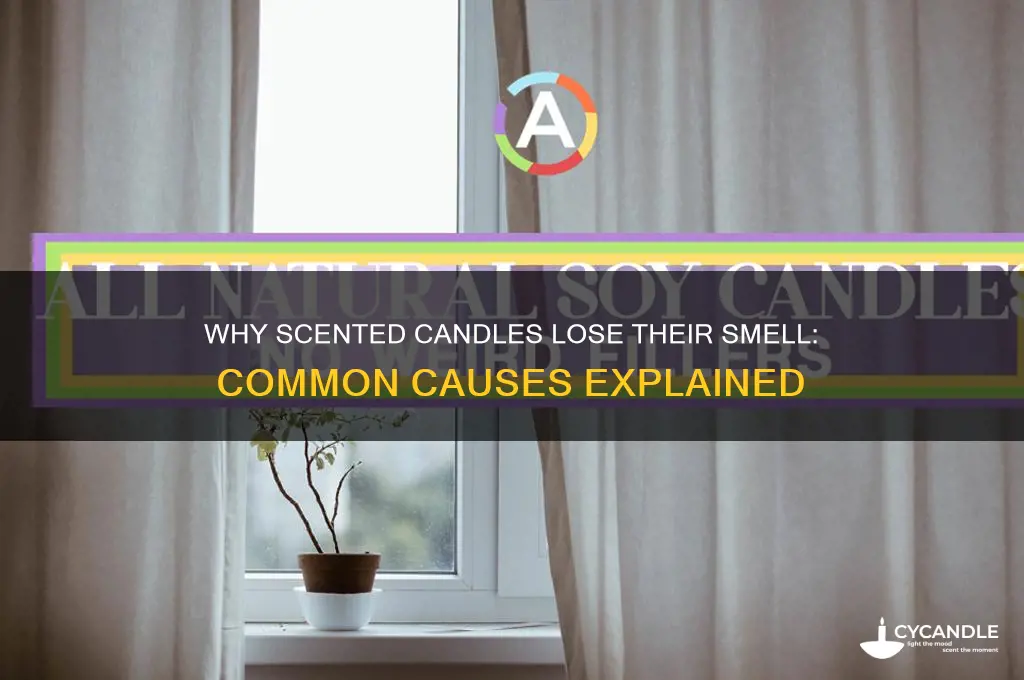 why do scented candles not smell