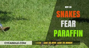 Why Snakes Avoid Paraffin: Uncovering the Surprising Deterrent Effect