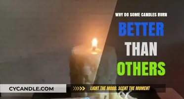 Why Some Candles Burn Better: Quality, Wax, and Wick Secrets