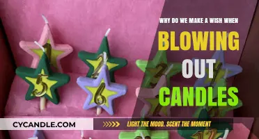 The Magic Behind Birthday Candles: Why We Make Wishes