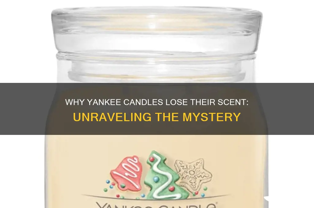 why do yankee candles not smell anymore