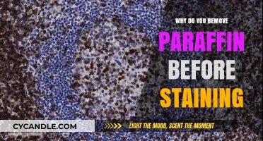 Removing Paraffin: Essential Step for Clear Tissue Staining Results