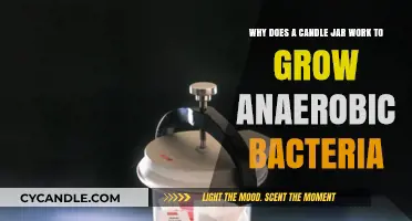 Candle Jars: Unlikely Anaerobic Bacteria Growth Chambers Explained