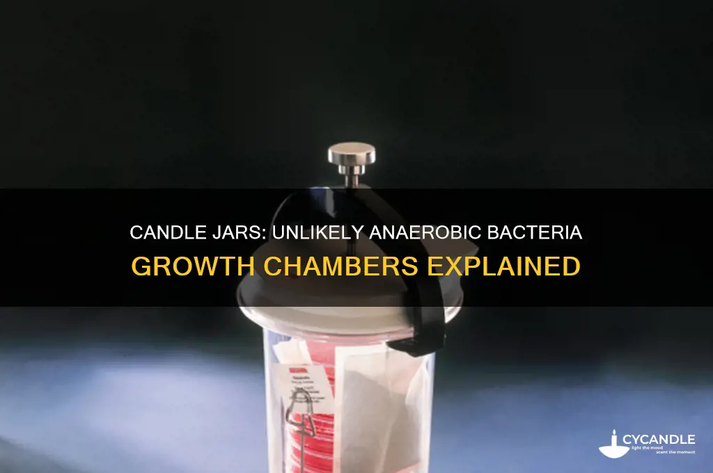 why does a candle jar work to grow anaerobic bacteria