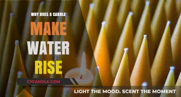 Candle Capillary Action: How Heat Makes Water Rise Explained