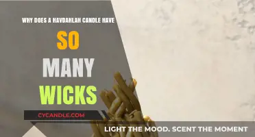 The Symbolic Meaning Behind Havdalah Candles' Multiple Wicks