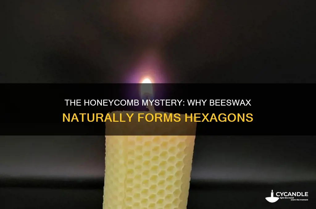why does beeswax form hexagons