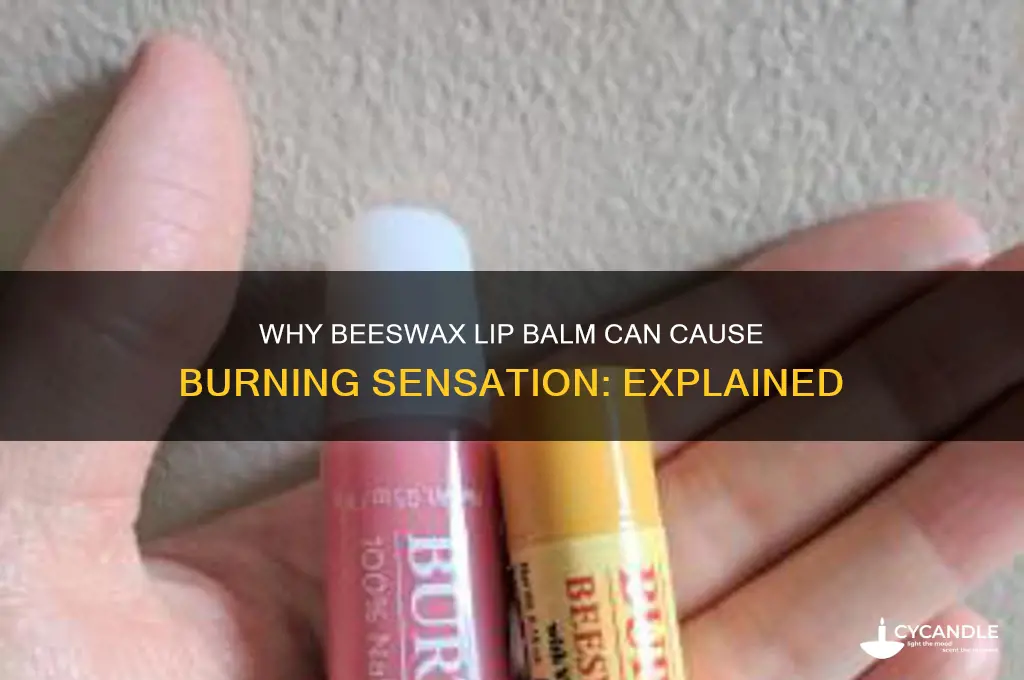 why does beeswax lip balm burn