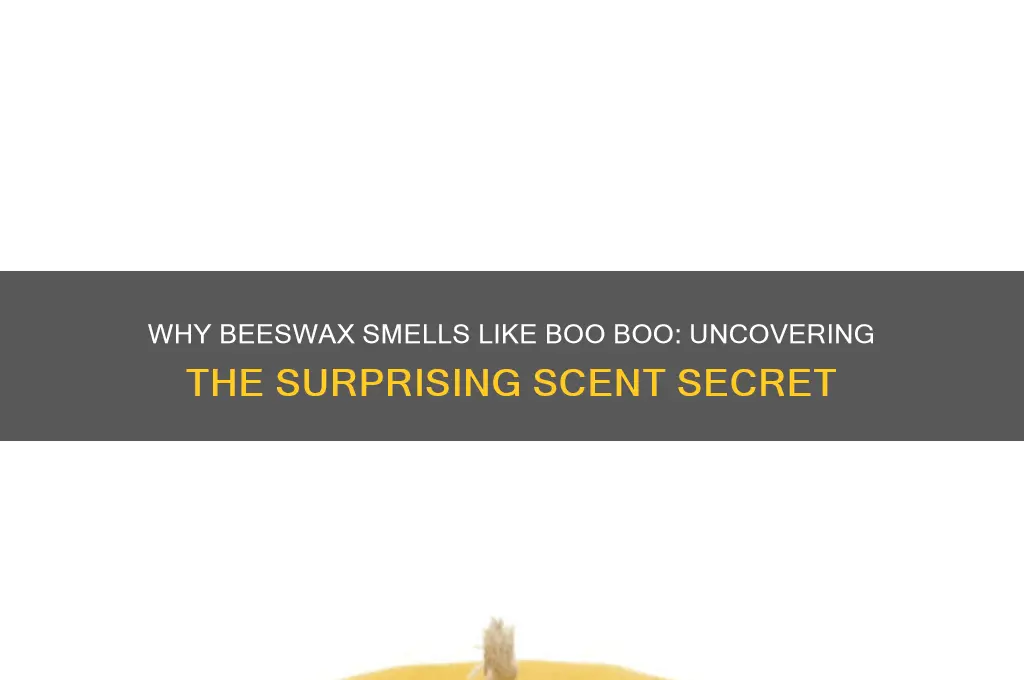 why does beeswax smell like boo boo
