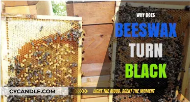 Why Beeswax Turns Black: Uncovering the Surprising Science Behind the Color Change