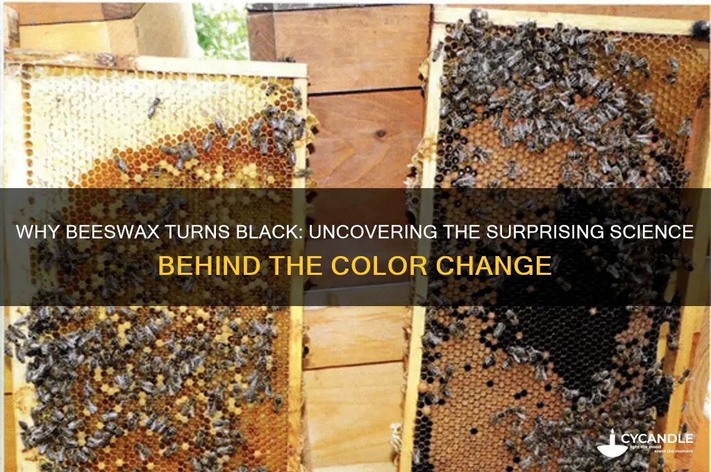 why does beeswax turn black
