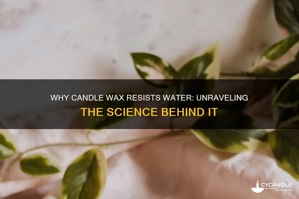 why does candle wax not dissolve in water