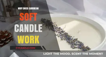 Caribbean Soft Candle's Unique Ingredients and Benefits Explained