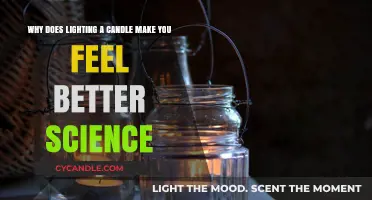 The Science Behind Why Candlelight Instantly Boosts Your Mood