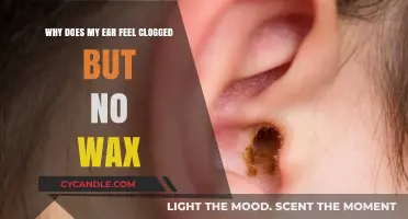 Unclogging the Mystery: Why Your Ear Feels Blocked Without Wax Buildup