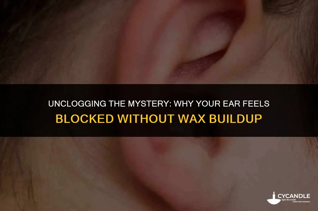why does my ear feel clogged but no wax