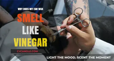 Unraveling the Mystery: Why Does My Ear Wax Smell Like Vinegar?