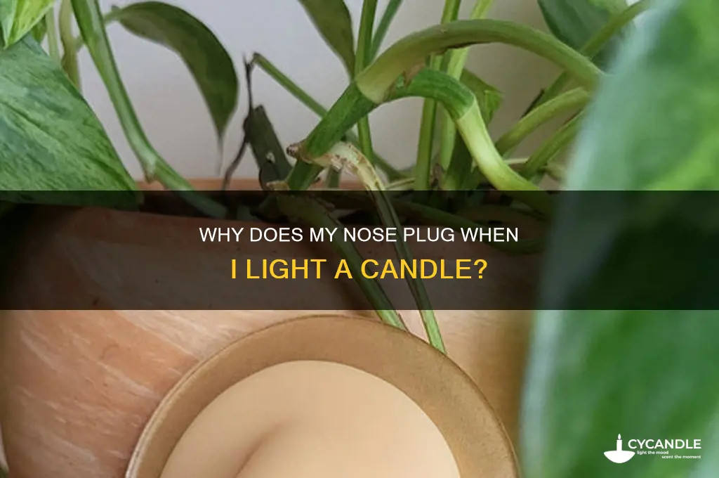 why does my nose plug when i light a candle
