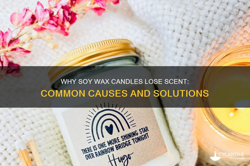 why does my soy wax candle not smell