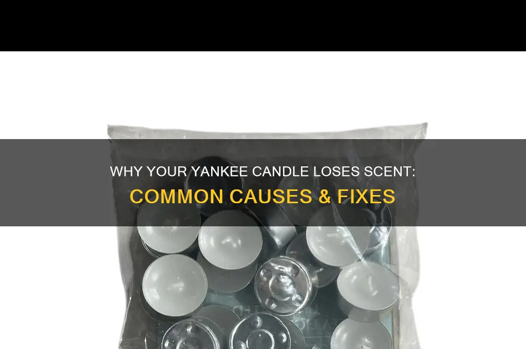why does my yankee candle not smell