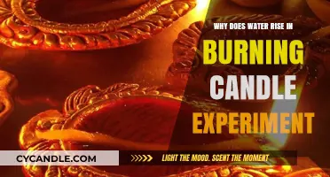 Capillary Action Explained: Why Water Rises in a Burning Candle