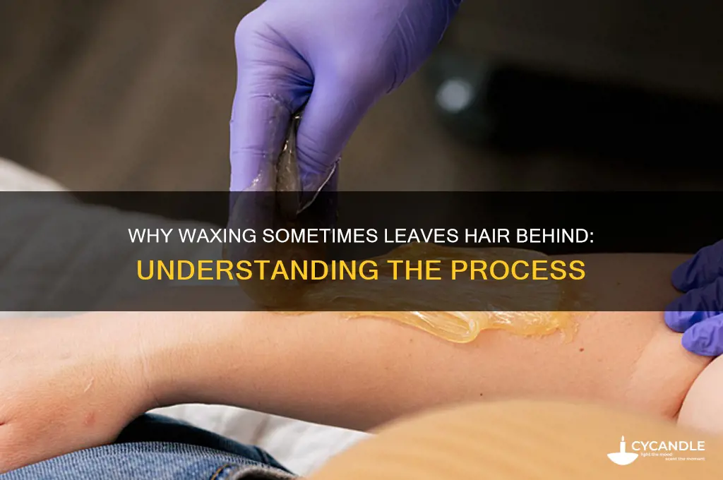 why doesn t waxing remove all hair