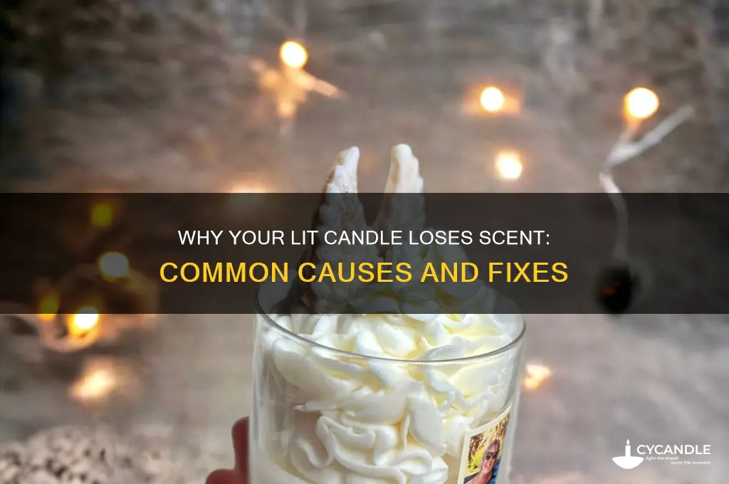why doesn