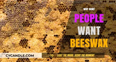 Why Beeswax Isn't Popular: Uncovering the Reasons Behind Its Decline
