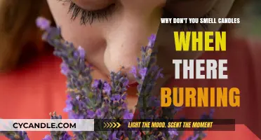 Why Can't You Smell Burning Candles? The Science Behind Olfactory Fatigue